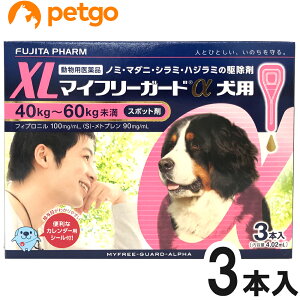 マイフリーガードα 犬用 XL 40〜60kg 3本（動物用医薬品）【あす楽】
