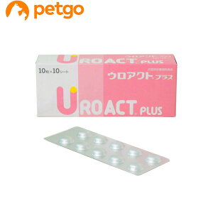EANgvX Lp 10×10V[g
