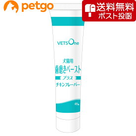 【ネコポス(同梱不可)】ベッツワン 国産 犬猫用歯磨きペーストプラス チキンフレーバー 45g