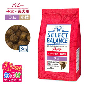ウエットティッシュプレゼント 10％OFF クーポン ポイント10倍 おまけ付き セレクトバランス パピー ラム 小粒 3kg 3キロ 子犬 母犬用 ドッグフード 犬 イヌ 成犬 ペット 健康 無着色 無香料 無添加 総合栄養食
