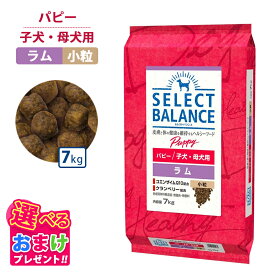 ポイント10倍 おまけ付き セレクトバランス パピー ラム 小粒 7kg 7キロ 子犬 母犬用 ドッグフード 犬 イヌ 成犬 ペット 健康 無着色 無香料 無添加 総合栄養食