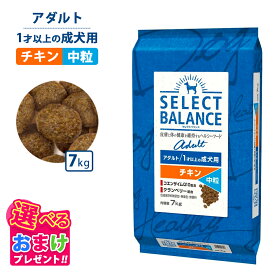 ポイント10倍 おまけ付き セレクトバランス アダルト チキン 中粒 7kg 7キロ 成犬用 ドッグフード 犬 イヌ 成犬 ペット 健康 無着色 無香料 無添加 総合栄養食