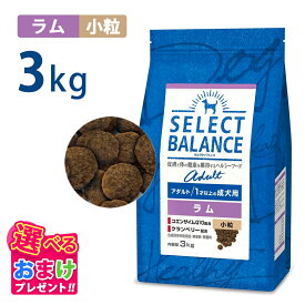10％OFF クーポン ポイント10倍 おまけ付き セレクトバランス アダルト ラム 小粒 3kg 3キロ 成犬用 ドッグフード 犬 イヌ 成犬 ペット 健康 無着色 無香料 無添加 総合栄養食