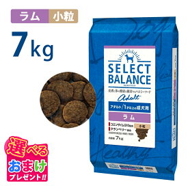 ポイント10倍 おまけ付き セレクトバランス アダルト ラム 小粒 7kg 7キロ 成犬用 ドッグフード 犬 イヌ 成犬 ペット 健康 無着色 無香料 無添加 総合栄養食
