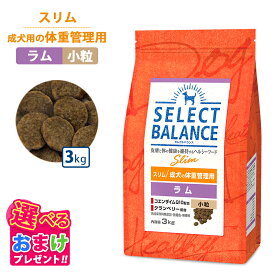 10％OFF クーポン ポイント10倍 おまけ付き セレクトバランス スリム 旧ライト ラム 米 小粒 3kg 3キロ ドッグフード 成犬 栄養 栄養食 低脂肪 低カロリー 健康 コエンザイム 無着色 無香料 無添加 犬 ヘルシー ドッグ フード