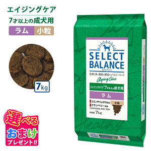 �E�G�b�g�e�B�b�V���v���[���g �|�C���g10�{ ���܂��t�� �Z���N�g�o�����X �G�C�W���O�P�A ���� ���� 7kg 7�L�� �h�b�O�t�[�h �� �C�k ���� �y�b�g ���N �����F ������ ���Y�� �����h�{�H