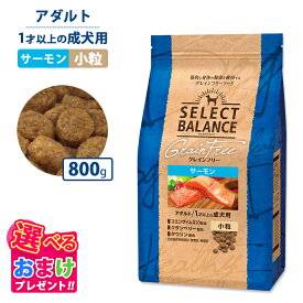 おまけ付き セレクトバランス グレインフリー アダルト サーモン 小粒 800g ドッグフード 犬 イヌ 成犬 ペット 健康 無着色 無香料 無添加 総合栄養食