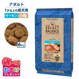 ポイント10倍 おまけ付き セレクトバランス グレインフリー アダルト サーモン 小粒 6kg 6キロ ドッグフード 犬 イヌ 成犬 ペット 健康 無着色 無香料 無添加 総合栄養食