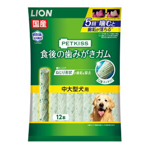 yCzLION ybgLbX H݂̎K ^p 12{