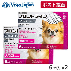 【メール便 送料無料】フロントラインプラス犬用 XS(5kg未満) 6本入 2箱セット【動物用医薬品】【ノミ・ダニ・シラミ駆除】《宅急便と同梱不可》