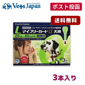 yAz}Ct[K[h p L (20-40kg) 3{ 2Zbgyzypiz