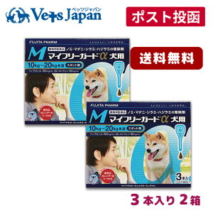 yAz}Ct[K[hp M (10-20kg) 3{ 2Zbgyzypiz