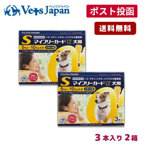 yAz}Ct[K[hp S (5-10kg) 3{ 2Zbgyzypiz