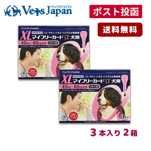 yAz}Ct[K[h p XL (40-60kg) 3{ 2Zbgyzypiz