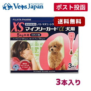 yAz}Ct[K[hp XS (5kg) 3{yzypiz
