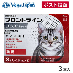 yAztgCvXLp@13{yzypizym~E_jEnW~쏜z