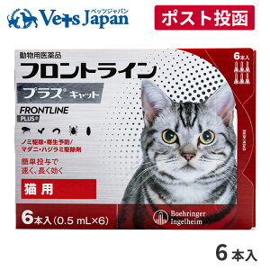 yAzy400~OFFN[|ΏہztgCvXLp@16{yzypizym~E_jEnW~쏜z