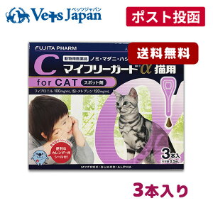 y[ z}Ct[K[hLp 3{ypizszւƓst