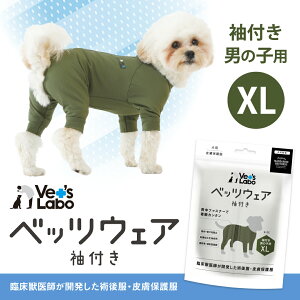  p xbcEFA t j̎qp J[L XL yVet's Labozp 畆ی앞 p㕞 p m EFA  Lk bVf r   h~ yz֔zz[F]