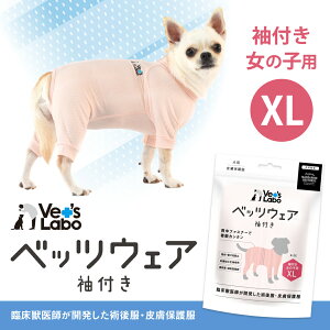  p xbcEFA t ̎qp sN XL yVet's Labozp 畆ی앞 p㕞 p m EFA  Lk bVf r   h~ yz֔zz[F]