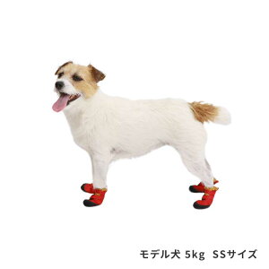 [bgXgbvxgV[Y SS/S S3F yCtCNz  L ybg C V[Y@ی LIFE LIKE bh u[ IW [K]