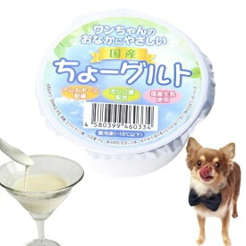 【クール便】ちょーグルト5個セット【ワンダードック】乳酸菌 腸内細菌 腸内フローラル 熱中症対策【K】