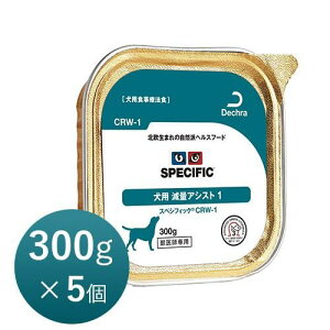 XyVtBbNp CRW-1 300g×5 ʃAVXg1 EFbg Ö@H yKizy15܂ł̌ϊœoׁiyjx݁jz