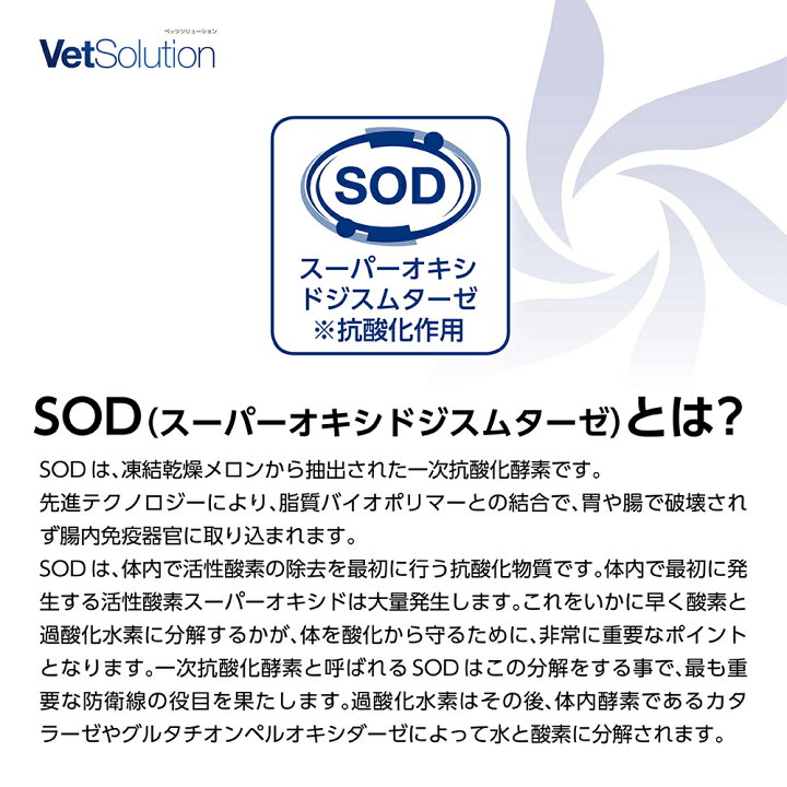 正規店仕入れの Vetsolution 食事療法食 犬用 肝臓サポート 2kg 6袋セット Fucoa Cl