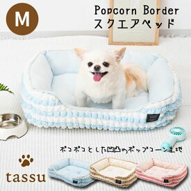 tassu ポップコーンボーダー スクエアベッド M 全3色【小泉ライフテックス】 犬 ペット ベッド 室内 [K]