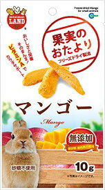 果実のおたより マンゴー 10g【マルカン】ハムスター ウサギ モルモット 小動物 おやつ マンゴー フリーズドライ［K］