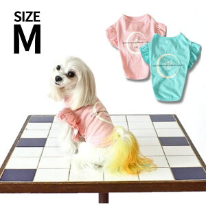 ySALEzCinofilo 2itvgTVc MTCY S2F yIDOG&ICATz ybg  EFA TVc t t mKn