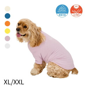 SKIN TIGHT COOL T-SHIRT XL/XXL S6F yMANDARINE BROTHERSzy[֔zz  ybg o t  ی іh~ XL^CgN[TVc }_uU[Y AC{[ u[O