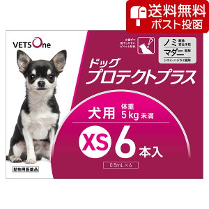 ylR|X(s)zxbc hbOveNgvX p XS 5kg 6{ (pi)