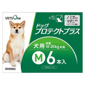 xbc hbOveNgvX p M 10kg`20kg 6{ (pi)