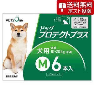 ylR|X(s)zxbc hbOveNgvX p M 10kg`20kg 6{ (pi)