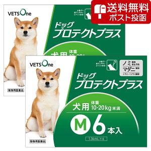 ylR|X(s)zy2Zbgzxbc hbOveNgvX p M 10kg`20kg 6{ (pi)
