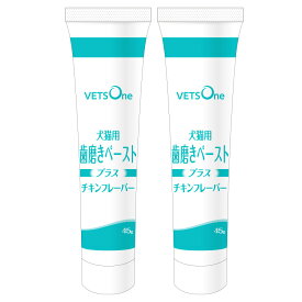 ベッツワン 国産 犬猫用歯磨きペーストプラス チキンフレーバー 45g【2個セット】