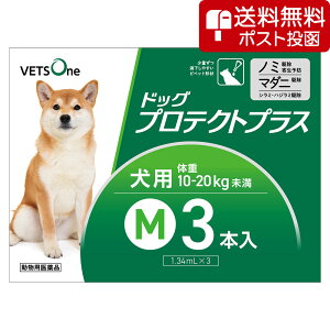 ylR|X(s)zxbc hbOveNgvX p M 10kg`20kg 3{ (pi)ygp2026N2z