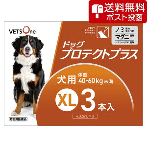 ylR|X(s)zxbc hbOveNgvX p XL 40kg`60kg 3{ (pi)