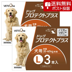 ylR|X(s)zy2Zbgzxbc hbOveNgvX p L 20kg`40kg 3{ (pi)