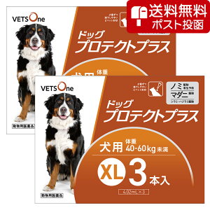 ylR|X(s)zy2Zbgzxbc hbOveNgvX p XL 40kg`60kg 3{ (pi)