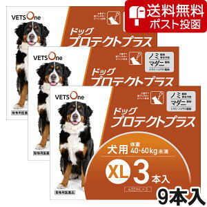 ylR|X(s)zy3Zbgzxbc hbOveNgvX p XL 40kg`60kg 3{ (pi)