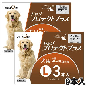 xbc hbOveNgvX p L 20kg`40kg 9{ (pi)