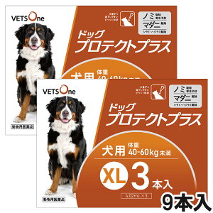 xbc hbOveNgvX p XL 40kg`60kg 9{ (pi)