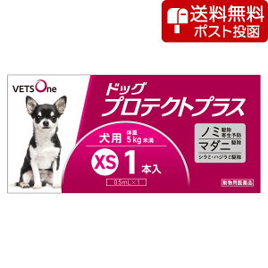 ylR|X(s)zxbc hbOveNgvX p XS 5kg 1{ (pi)