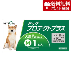 ylR|X(s)zxbc hbOveNgvX p M 10kg`20kg 1{ (pi)