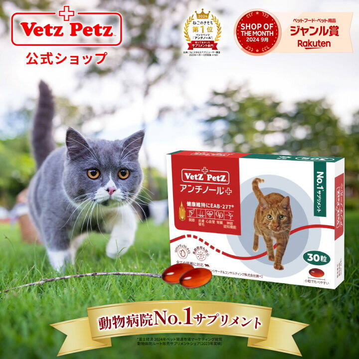 楽天市場】【 ベッツペッツ 公式 正規品 】 アンチノール プラス 猫用 