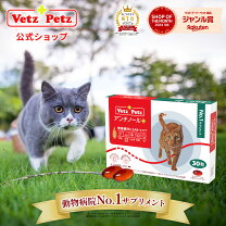 楽天市場】アンチノール 犬 90粒の通販