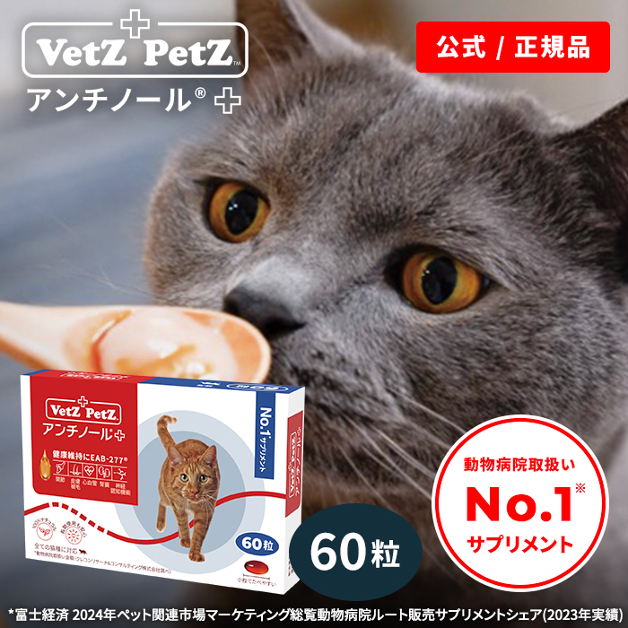 特価 アンチノール 猫用30粒 Vetz Petz 通販