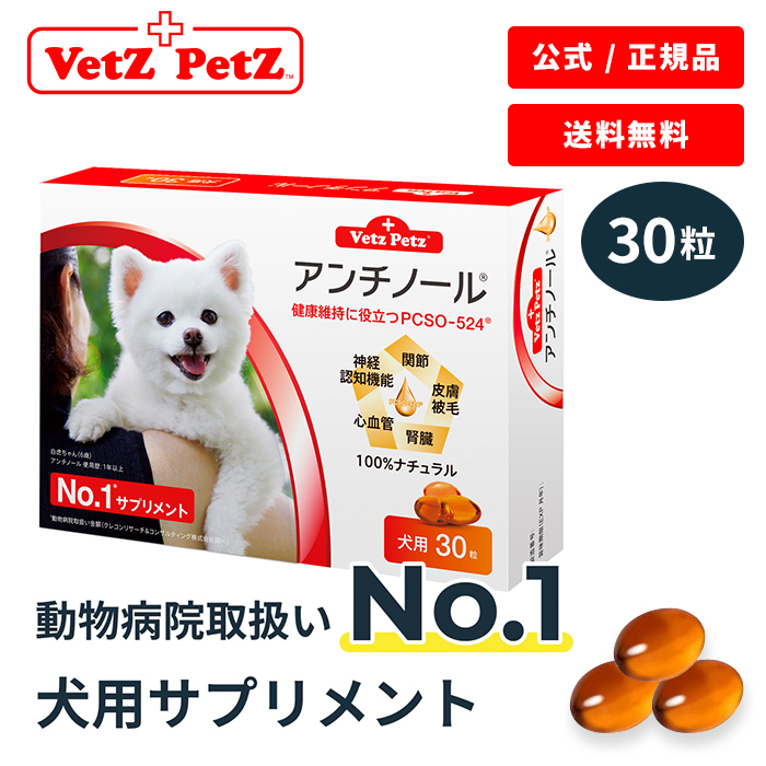 楽天市場】【ベッツペッツ 公式 正規品 】 アンチノール 30粒 犬用 